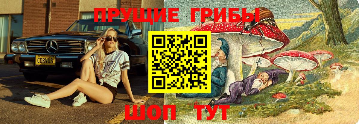 Пугачёв  купить наркотики цена  Вход с VPN  Псилоцибиновые грибы Magic Shrooms 